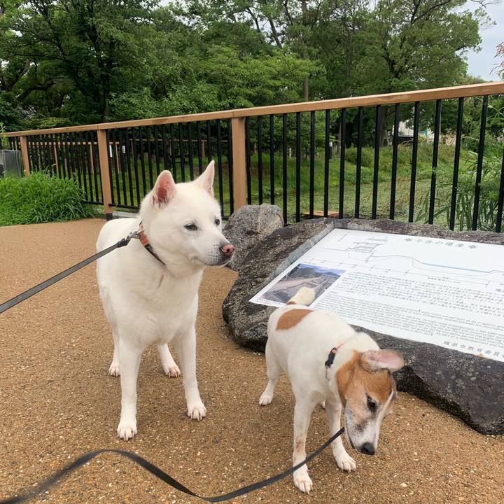 3015c8b5 fdc6 4c07 8860 4e30782154b1 1562369142638