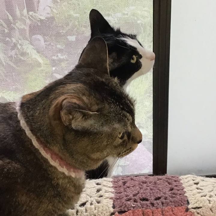 3015cae8 f476 4b8e a9eb ec97fea90273 1719306797288