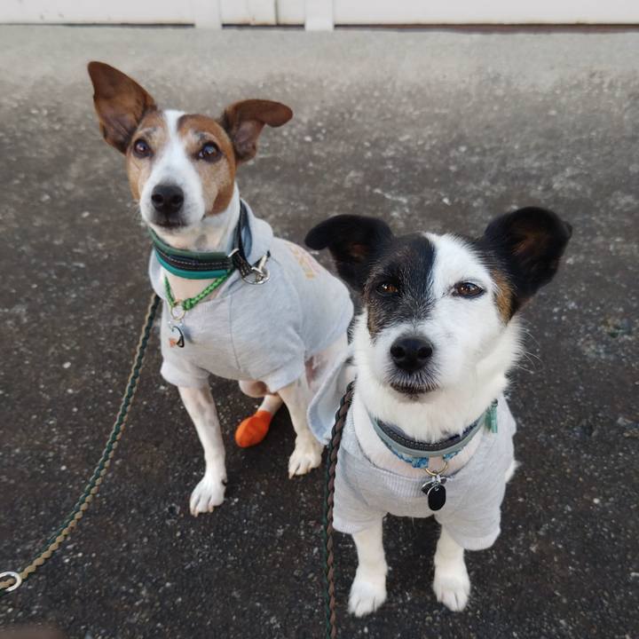 3015d33e e02f 4d86 86f9 db5a0cabfc17 1762899030408