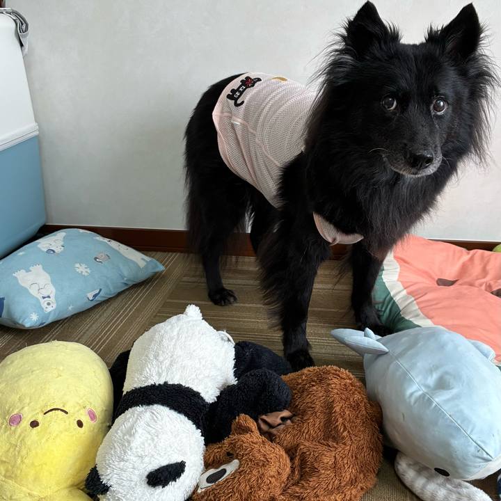 30160f63 7953 4557 92b8 79f60fe01741 1760243498170