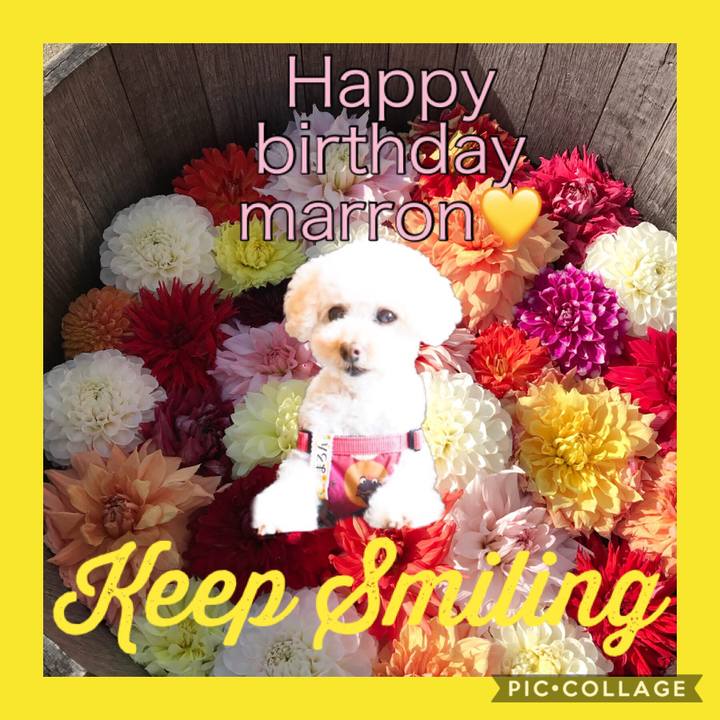 30162203 ca3d 45e1 99ed b4ead87c9083 1540187207832