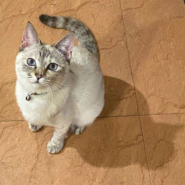 301645f2 a044 4482 badb e2e35549d680 1649411853011