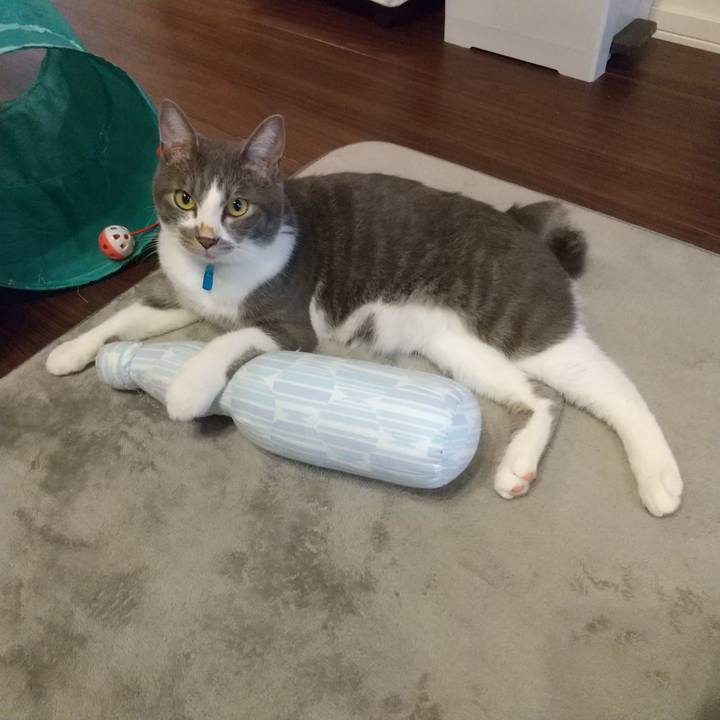 301647e1 ddf1 494e 8a78 1d4d1c4d5ac0 1600473471198