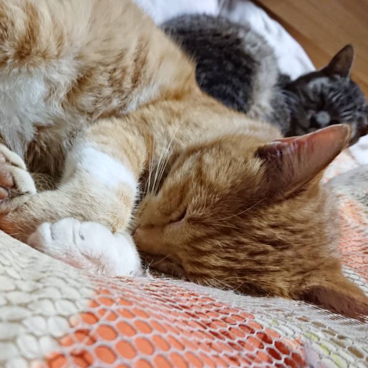 30165867 0db8 432c b1c6 ebe97a9a9097 1570712303329