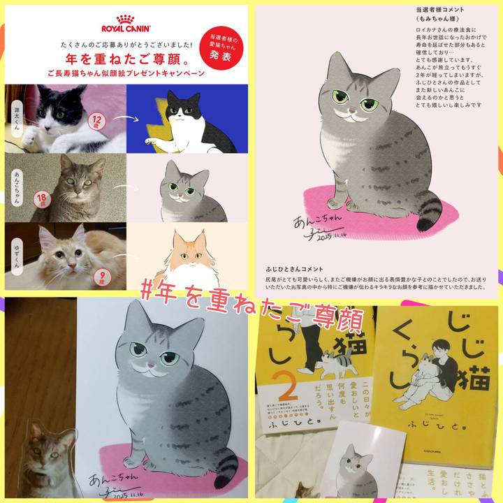 30166093 ed27 4437 bb18 9116b902fb50 1764214852423