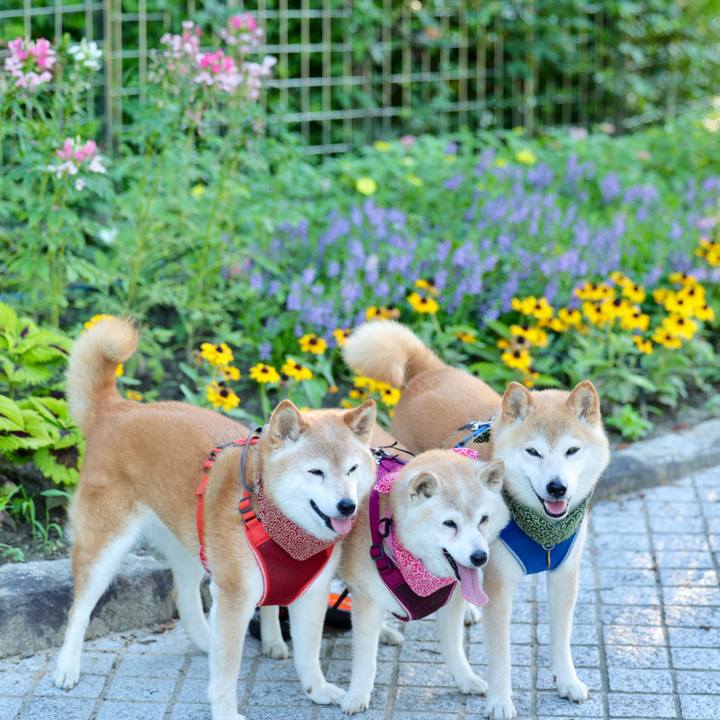 3016996d 5728 4b46 9ad5 758395129607 1753542982772