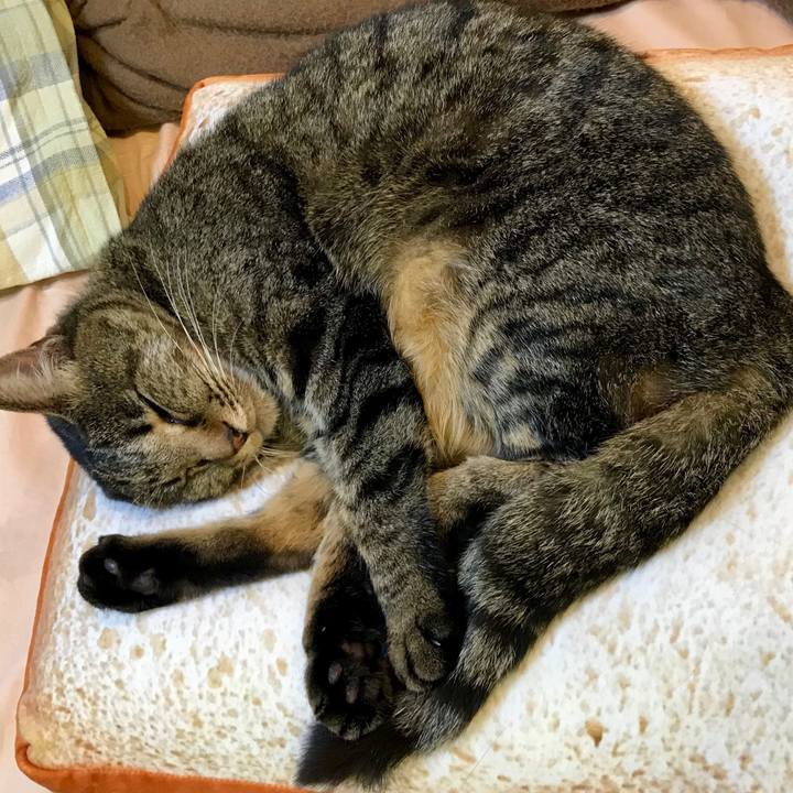 30169fa3 20e2 4a14 b2ae 6129a23e204d 1520167604118