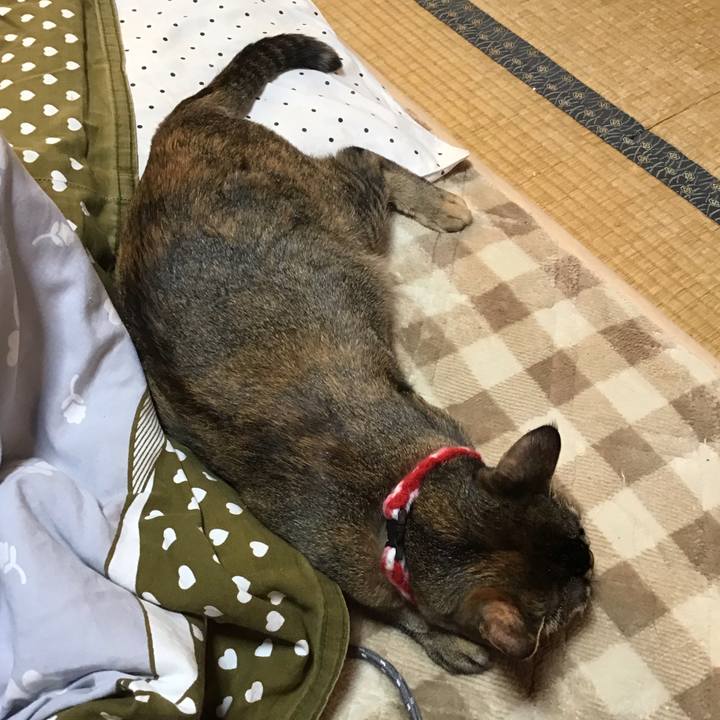 3016c0e0 aec4 4633 ba61 e28f423cd072 1606720013129