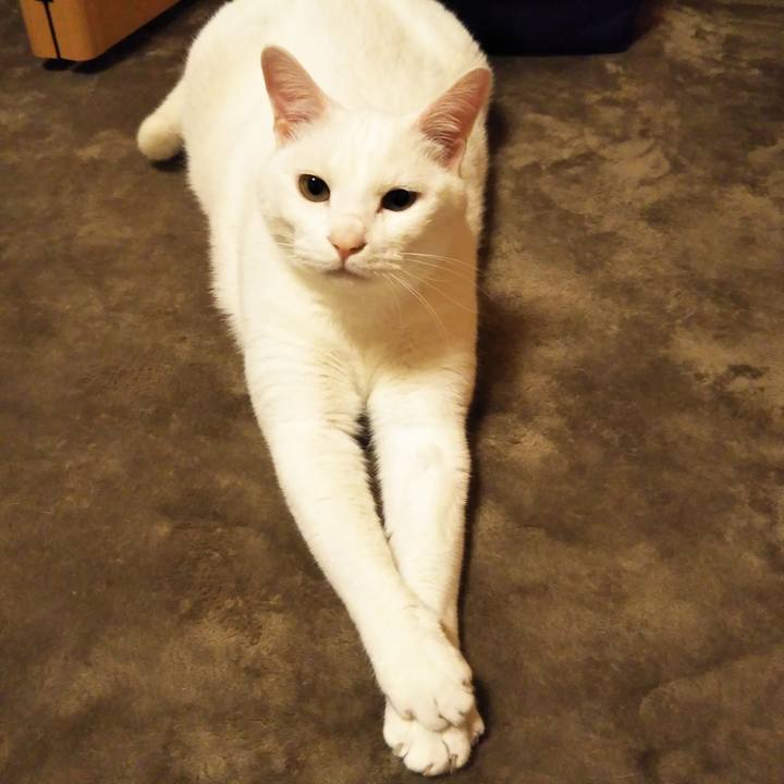 3016c82f 69dd 416b 8121 51d4c0a96313 1559227945513