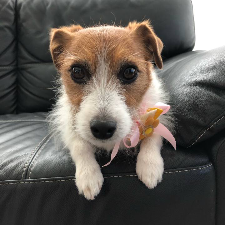 3016cb2c 398b 4ad1 9f87 d55265e88132 1556858155112