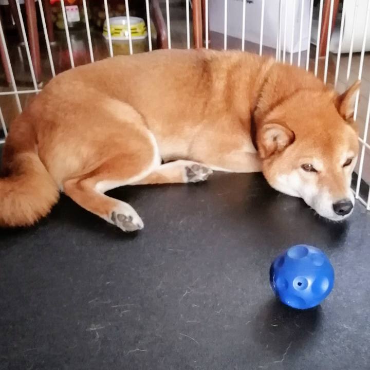 3016ded8 6d1d 4919 822b 1e2daed1fa82 1619320615441