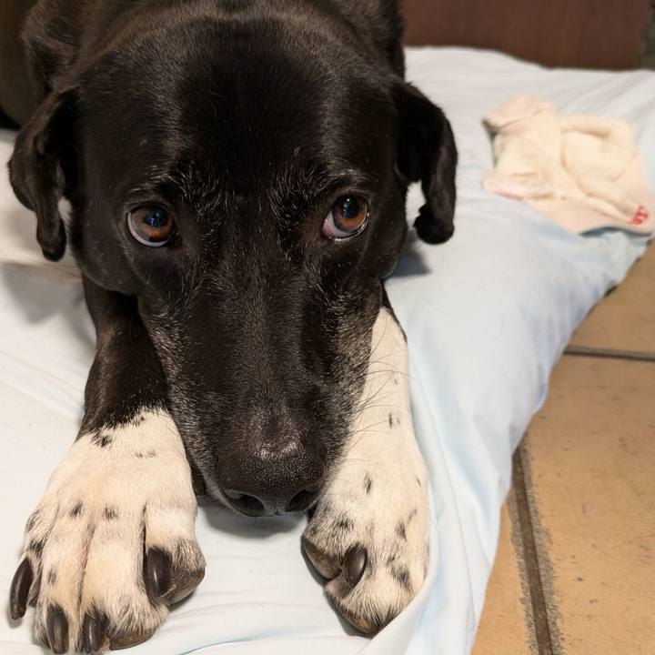 3016f40f 23a3 414f a433 ad0fc277d3d0 1724226420587