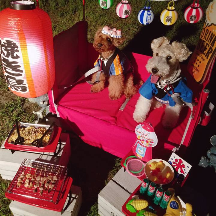 3017349d 0309 447a 91e1 12cee40e6f71 1565957917579