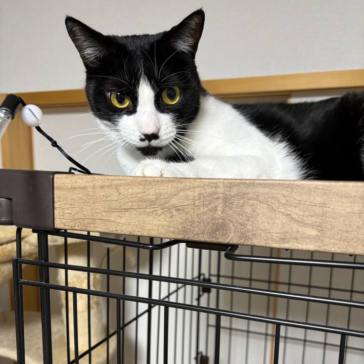 30175fc7 6512 4005 9468 0cee1938ef5e 1770860531214