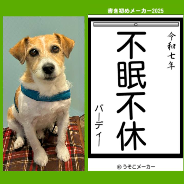 30176fa0 9c25 43f3 bcd9 38cedba5a128 1736256982373