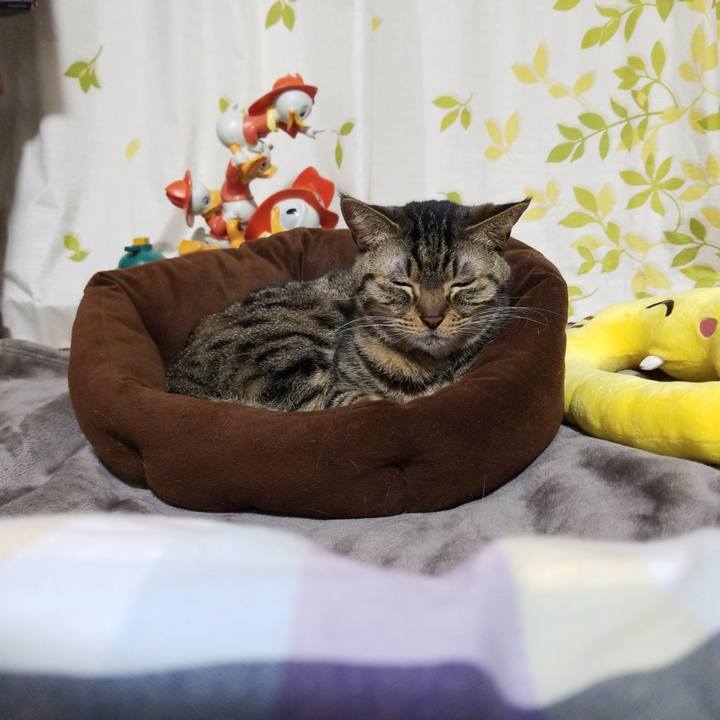 3017af17 1b90 4f02 adbc e33b7d392346 1582977087791