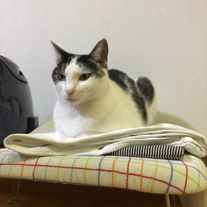 30180796 1aa6 4dc3 a69f 3c5eadeb4aed 1693224450901