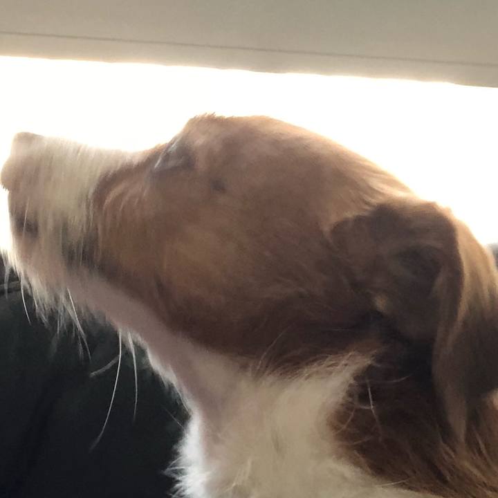 30182e22 1433 4b40 96b8 62e4573e4a7d 1522556759438