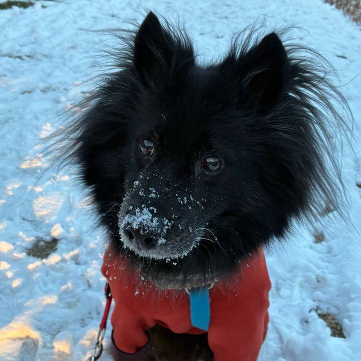 3018429f 525e 42c4 add7 4c987b03587d 1770594601376