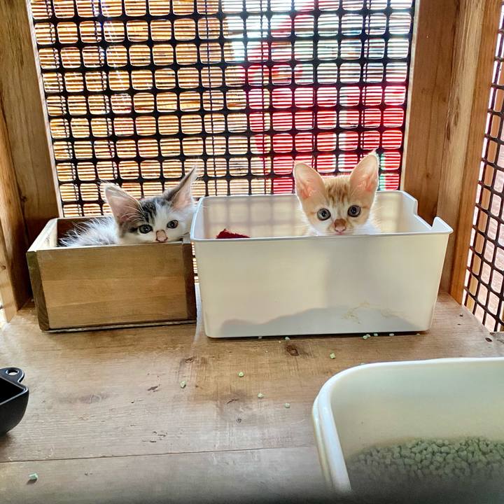 3018690c fc8c 48c0 9420 57f5ca806cf8 1629961469313