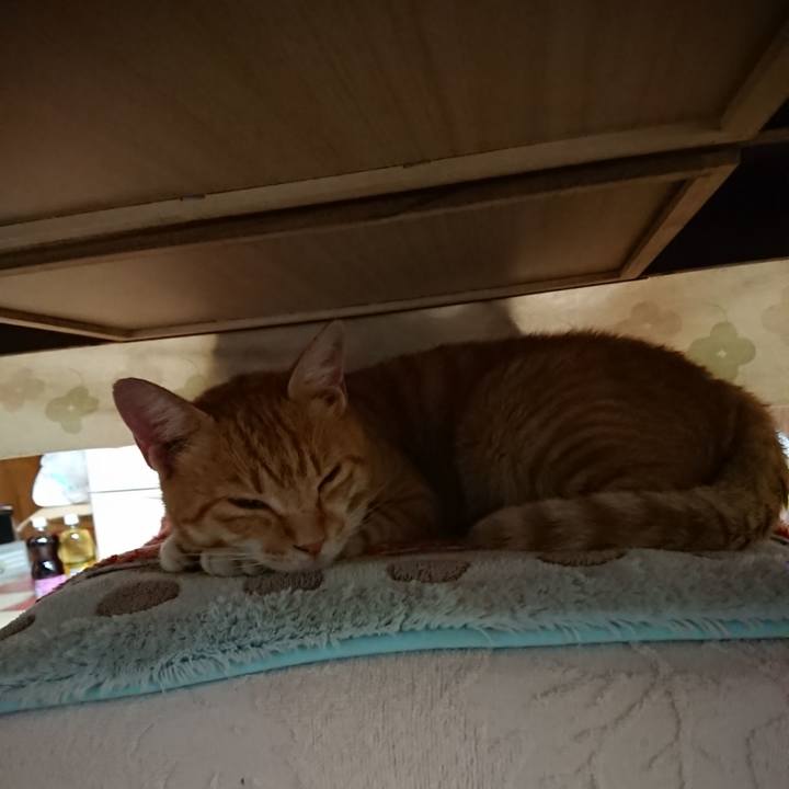 30187bea 9be2 4002 b1e8 d5fa2738ed3f 1564257335578