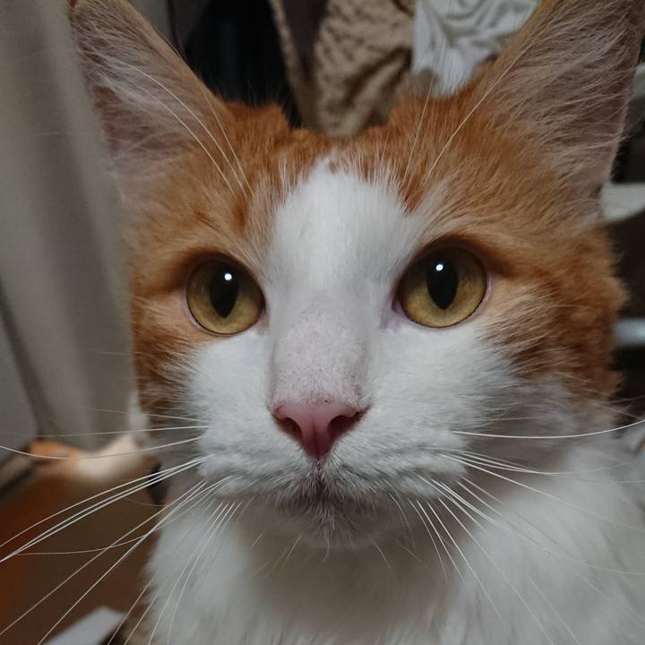 3018957b 8e28 4e6b acb0 5f66b3a78439 1566650127266