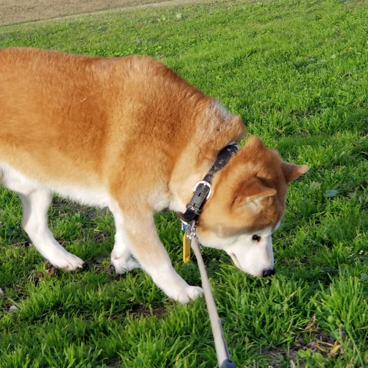 30189fe4 f325 4f37 9af2 fcc0e5815b5b 1636353471088