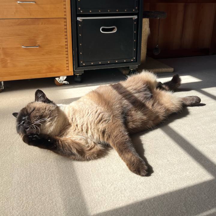 3018ab4f dbd3 4ec7 a57d b0aa5c333dd6 1645588691664