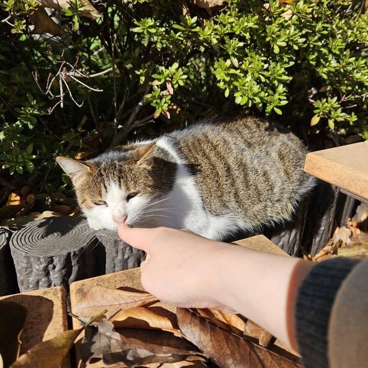 3018bb6e ac4b 4e1e 840f b765b6d67cc5 1701485239241