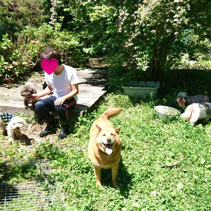 3018e623 defe 4013 97cd dad2228dc808 1526784295338