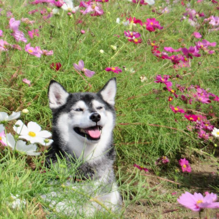 30192ab8 fd36 4763 9a03 8d626676bd24 1697843421001