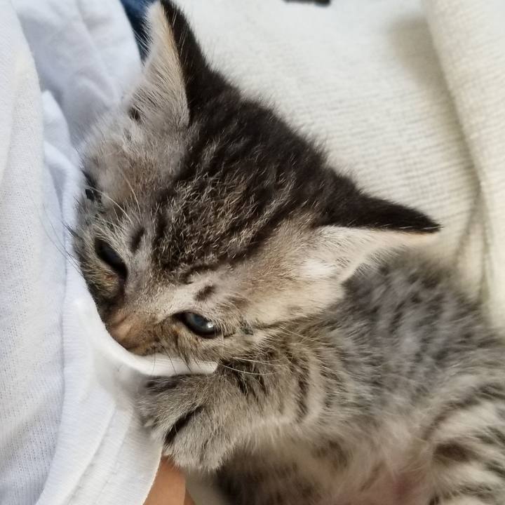 301950ad 2eac 4bf6 8309 aa6444120d93 1660833979018