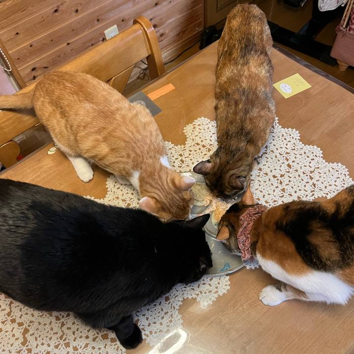 3019540a 64b8 4847 ae9a 3e0e8ca77733 1674185054603