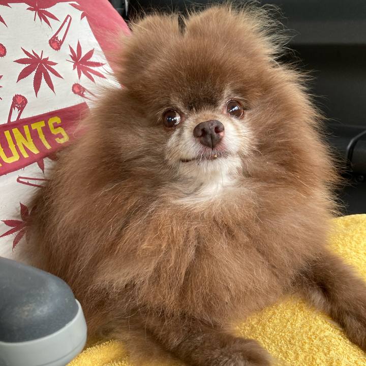 301977f9 74c8 4b51 80ac 4706c3d0829c 1726094604415