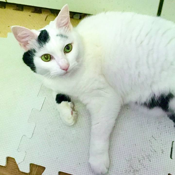 3019a0d7 d1d9 4b8f 9d55 b36771618fff 1603229596197