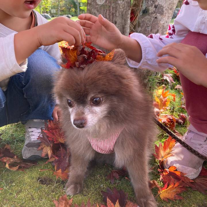 3019be22 ef63 496f 9a4f a2b7893eeb9f 1666411760556