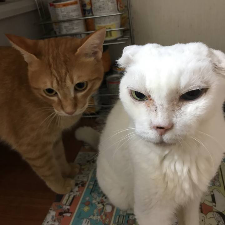 3019cada d5be 4586 9711 e36f583cad27 1536582836706