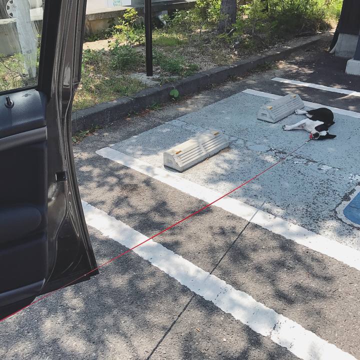 3019cfd2 1605 4516 abcd fe953bf0aa40 1529964527328