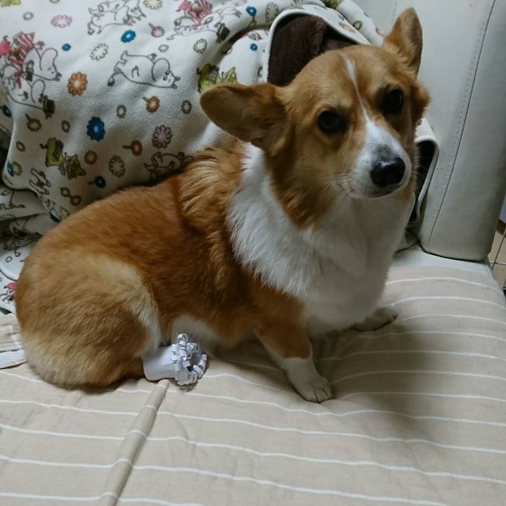 3019e47e 6a76 48d4 b8d0 506f11a1fd96 1545566075589