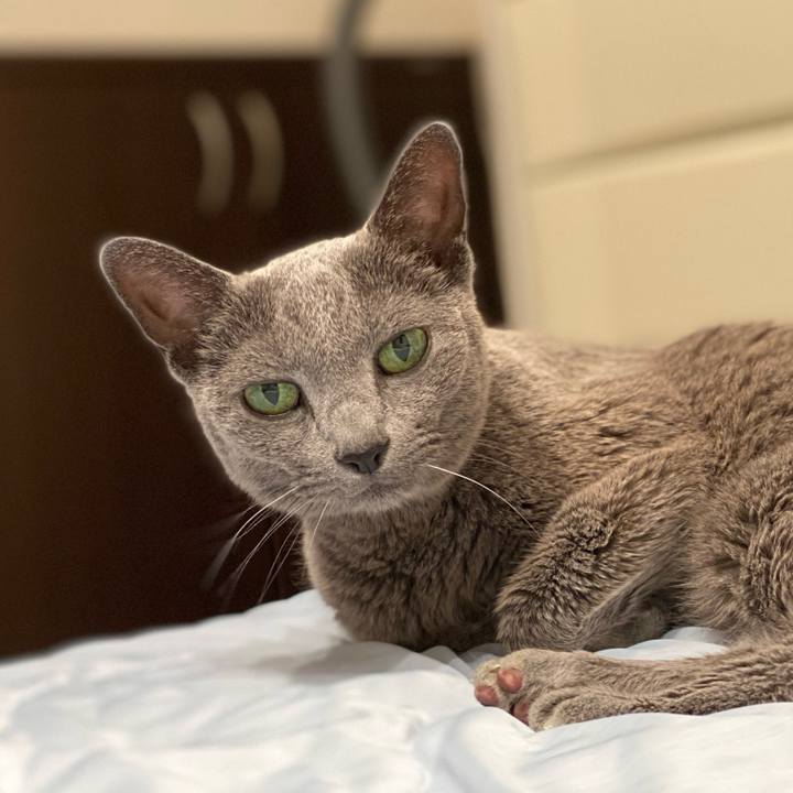 3019ebd0 45e5 48ec b91b 807e601399a8 1601676553226