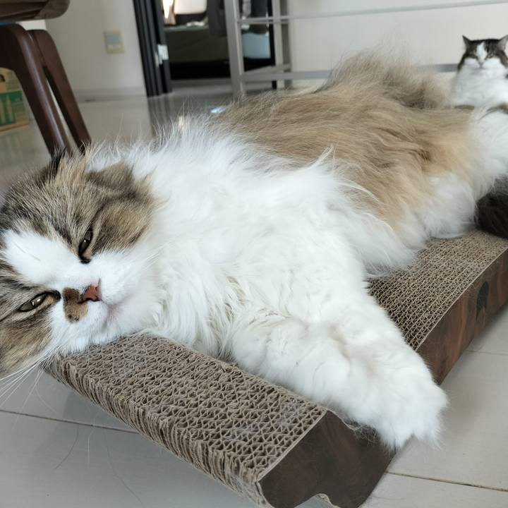 301a14e2 183f 4aab b1e7 d5c64999e568 1757808987809