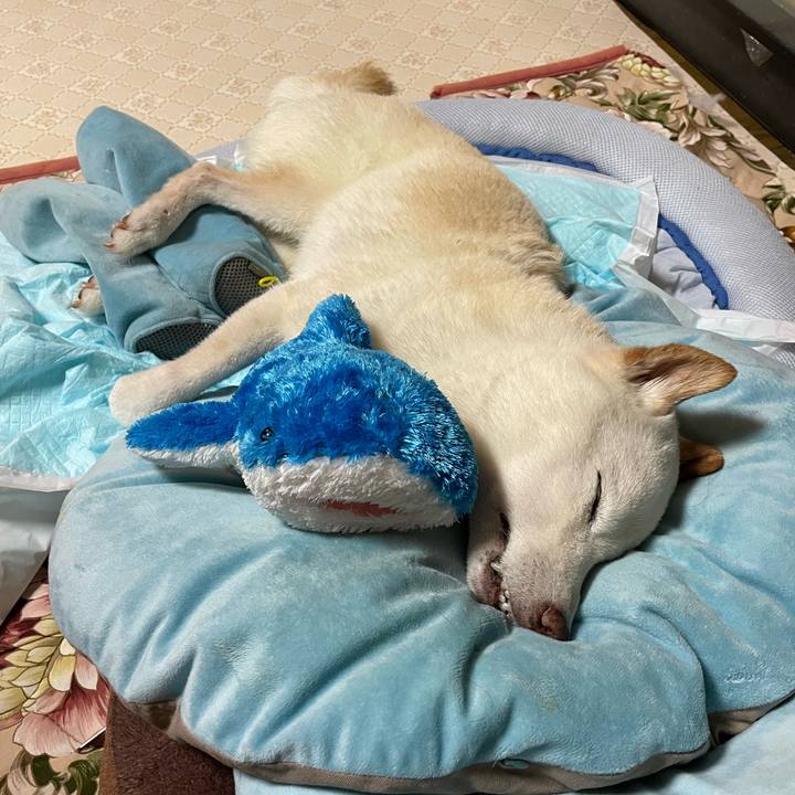 301a2214 0575 492a 857d 1b927b41ad5c 1661516228980