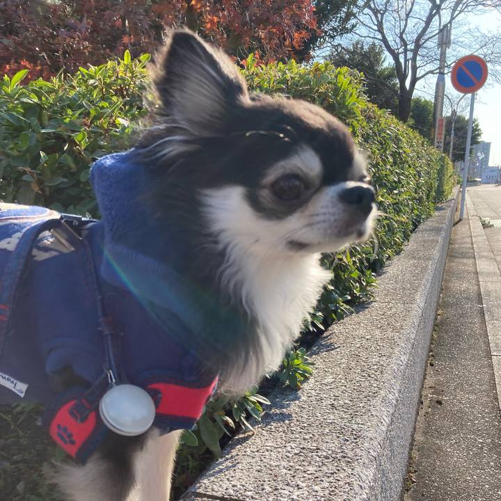 301a633f 030d 4874 80ce d6d8c9228a2f 1703750035050