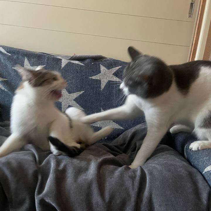 301a64c2 de23 4d71 89e2 ac31df0e5454 1755253009132