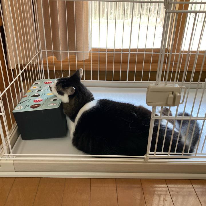 301a829e 4c6a 4fe9 92f5 8058ef83b5db 1711838785865