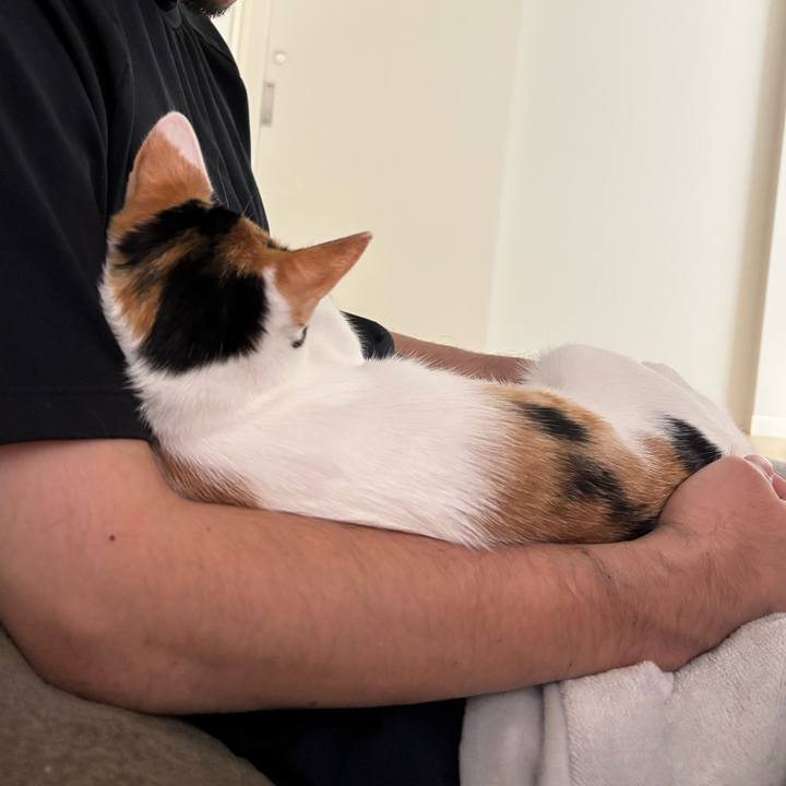 301aa800 6a05 4b28 9024 de6bcde278a1 1761967908265