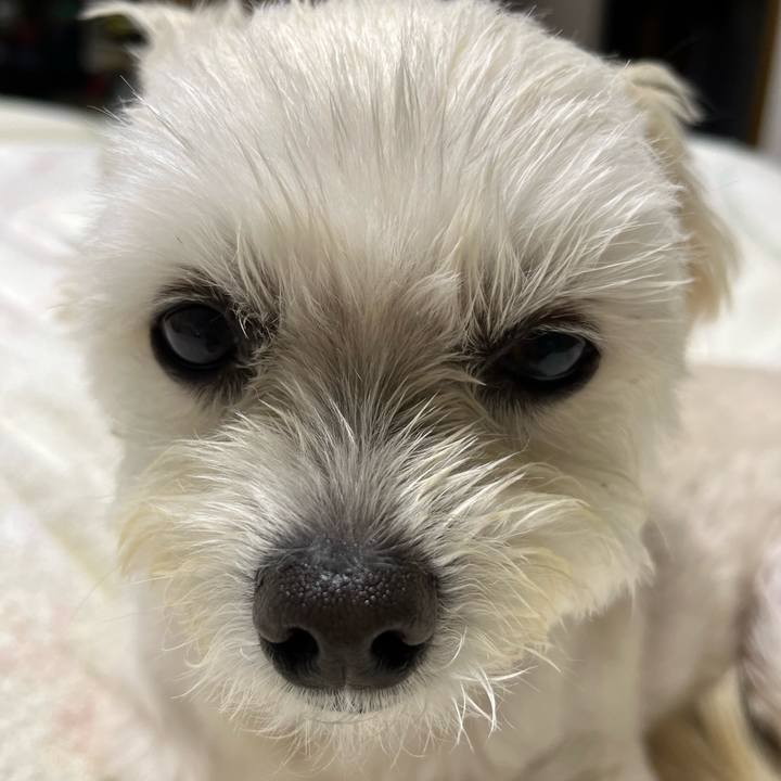 301b0375 21ba 4ee5 b6f4 e639c0657c96 1653140462608