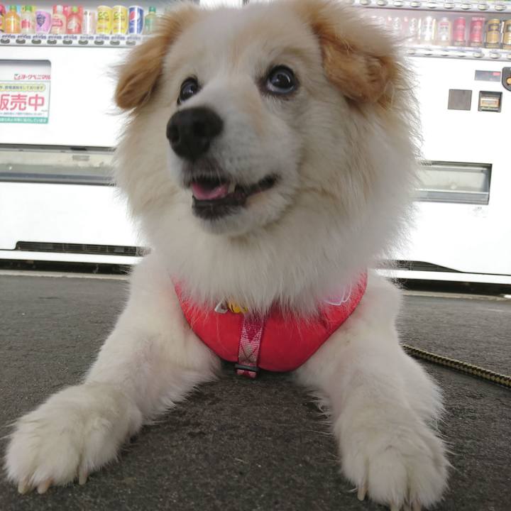 301b211a dcc2 4ec9 99f0 f6112f6d70fa 1528752515189