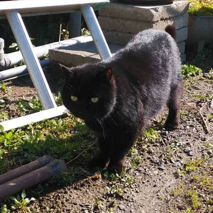 301b2686 6362 439a a09a 3184c79899e8 1616465747988