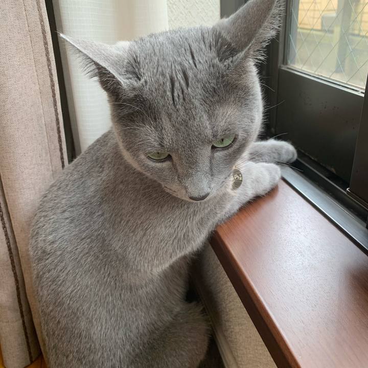 301b2d3a b4bc 437d 879b 26bd882cc04c 1622249613630